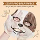 Sheet Mask